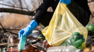 L'Importance des Collecteurs de Déchets Spéciaux